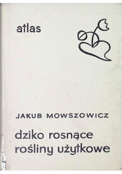 Dziko rosnące rośliny użytkowe