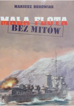 Mała flota bez mitów