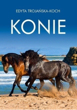 Konie