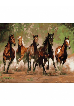 Malowanie po numerach - Stado koni 40x50cm
