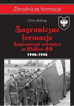Zagraniczne formacje SS