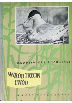 Wśród trzcin i wód