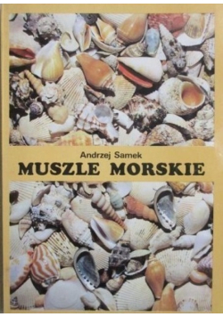 Muszle morskie