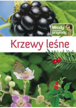 Krzewy leśne