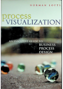 Process Visualization: An Executive Guide to Business Process Design