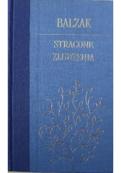 Stracone złudzenie