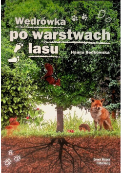 Wędrówka po warstwach lasu