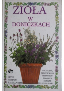 Zioła w doniczkach