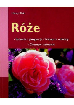 Róże Sadzenie i pielęgnacja Najlepsze odmiany Choroby i szkodniki