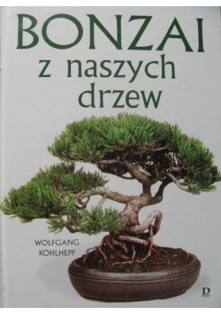 Bonzai z naszych drzew