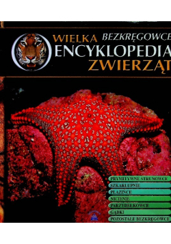 Wielka encyklopedia zwierząt Tom 29 Bezkręgowce