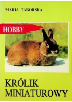 Hobby królik miniaturowy