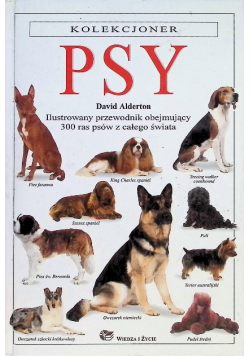 Psy