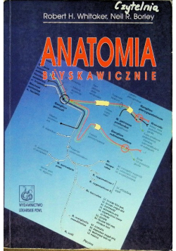 Anatomia błyskawicznie