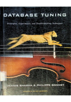 Database Tuning: Principles, Experiments, and Troubleshooting Techniques