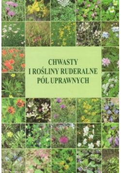 Chwasty i rośliny ruderalne pól atlas chwastów