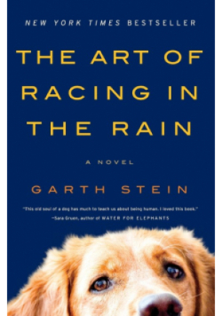 The Art of Racing in the Rain, The rain