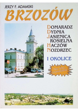 Brzozów i okolice