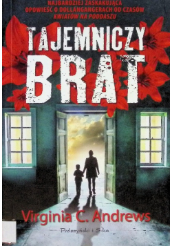 Tajemniczy brat