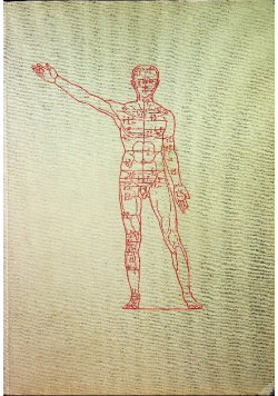 Atlas anatomii człowieka  Tom 2