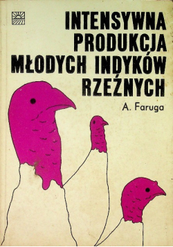 Intensywna produkcja młodych indyków rzeźnych