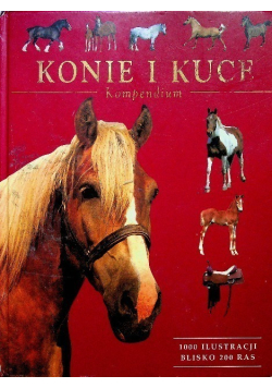 Konie i kuce kompendium