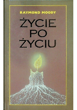 Życie po życiu