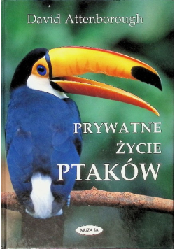 Prywatne życie ptaków