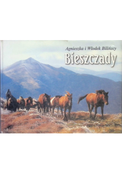 Bieszczady