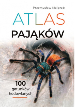 Atlas pająków