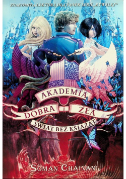 Akademia dobra i zła Tom 2 Świat bez książąt