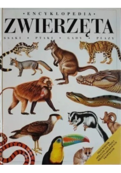 Encyklopedia zwierzęta Ssaki ptaki gady płazy