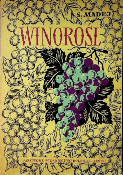 Winorośl