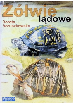 Żółwie lądowe