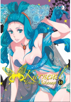 Karneval Tom 14