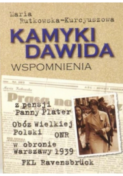 Kamyki Dawida Wspomnienia