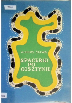 Spacerki po Olsztynie