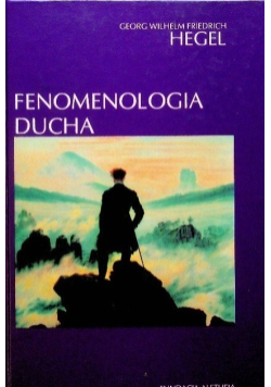 Fenomenologia ducha