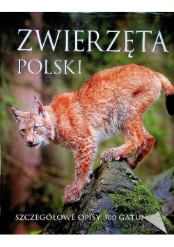 Zwierzęta Polski