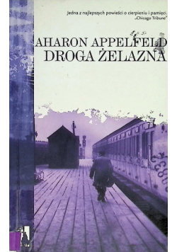 Droga żelazna