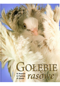 Gołębie rasowe
