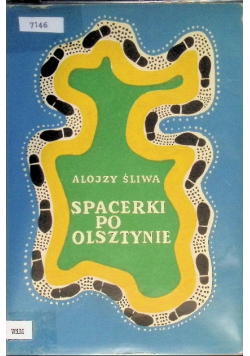 Spacerki po Olsztynie