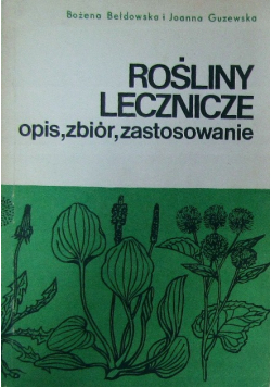 Rośliny lecznicze opis zbiór zastosowanie