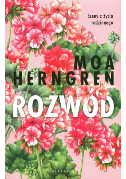 Rozwód