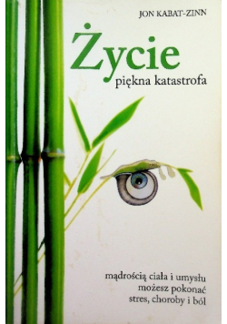 Życie  piękna katastrofa