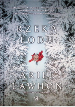Rzeka lodu