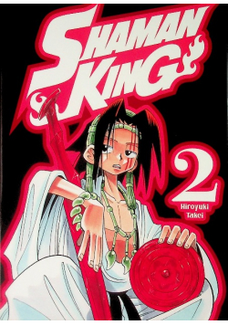Shaman King. Tom 2