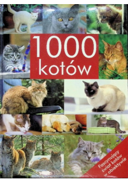 1000 kotów
