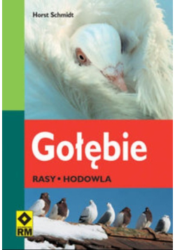 Gołębie Rasy hodowla