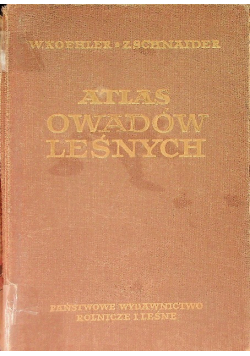 Atlas owadów leśnych